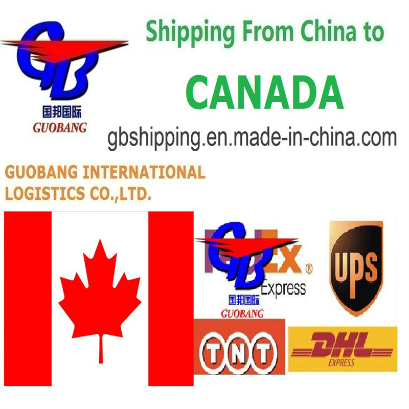 One Stop Service Booking-Pick up-Custom Clearance-on Board International Aviation Service Courier Service From to Canada